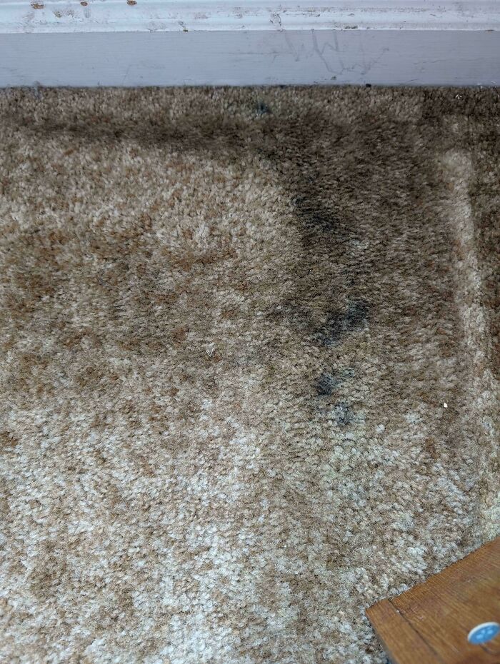 36 People Share The Weirdest Things They’ve Ever Seen In Someone’s Else’s Home