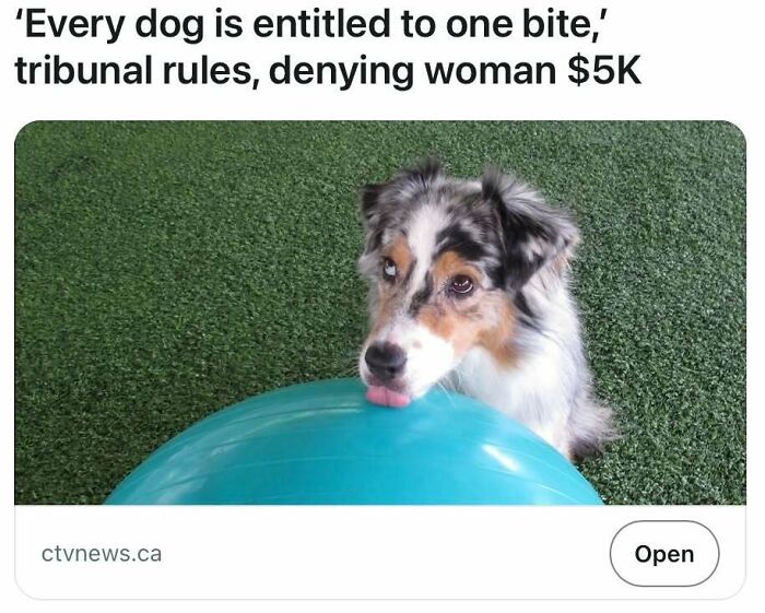 85 Headlines That Could Pass For Satire But Are Unfortunately True (New Pics)