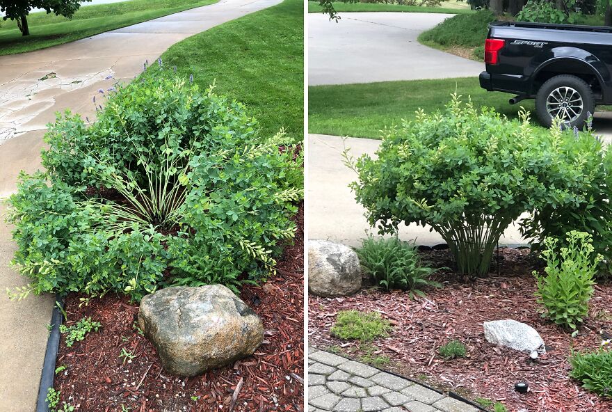 22 Gadgets That Will Make Your Garden Less Of A Chaotic Hellscape