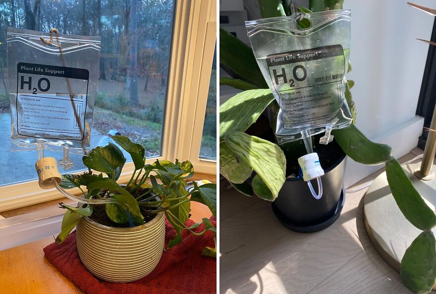 22 Gadgets That Will Make Your Garden Less Of A Chaotic Hellscape