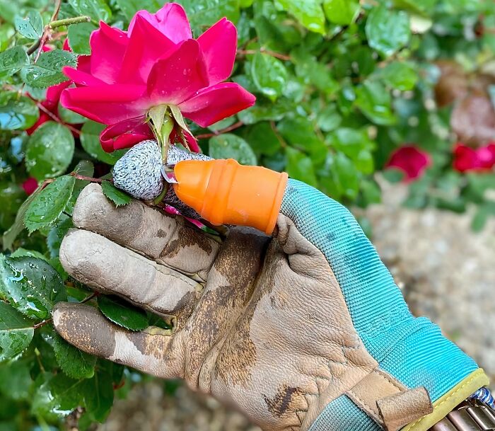 22 Gadgets That Will Make Your Garden Less Of A Chaotic Hellscape
