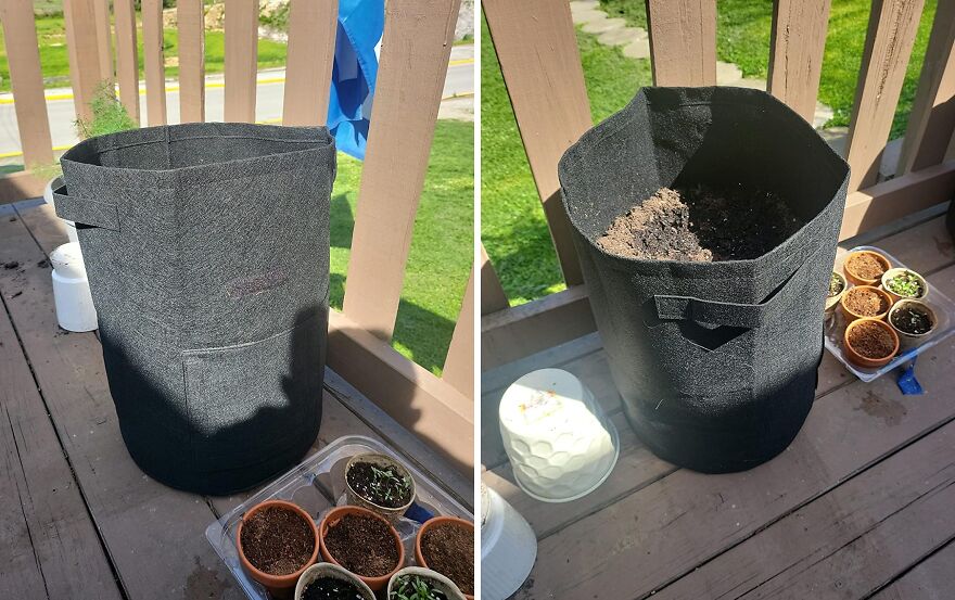 22 Gadgets That Will Make Your Garden Less Of A Chaotic Hellscape