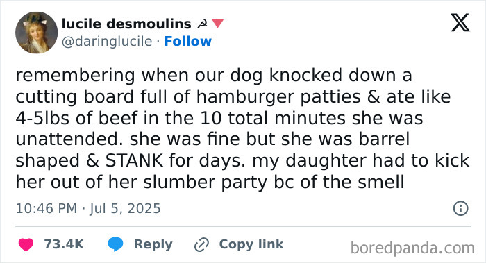 125 Hilarious Tweets From July That Slapped Harder Than A Mosquito Bite