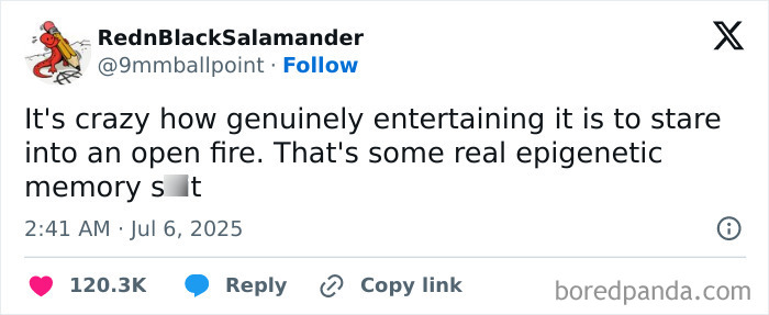 125 Hilarious Tweets From July That Slapped Harder Than A Mosquito Bite