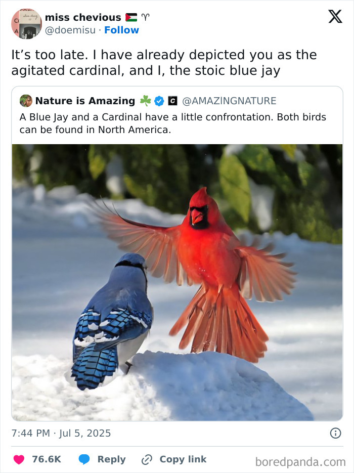 125 Hilarious Tweets From July That Slapped Harder Than A Mosquito Bite