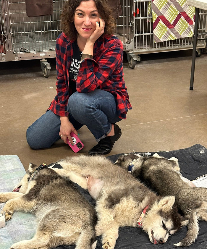 &#8220;This Is Sick&#8221;: Owner Of Dog Meat Farm Reveals She&#8217;s Received Violent Threats After Going Viral