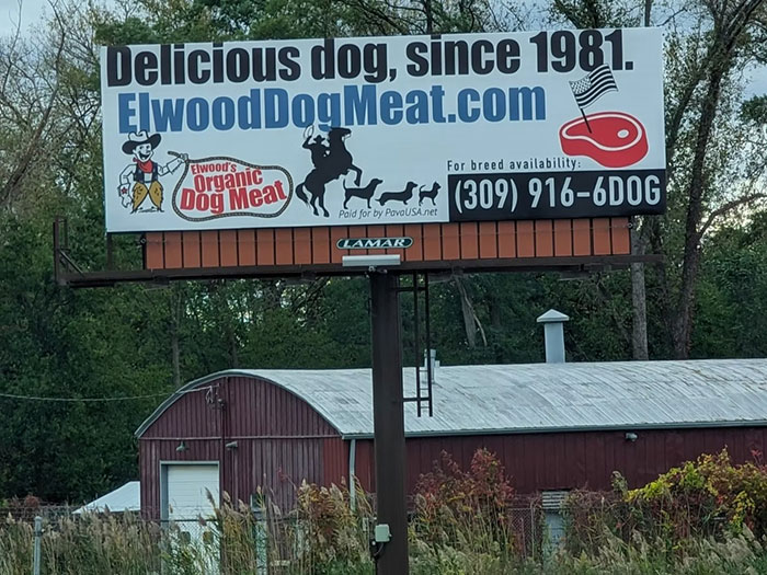 &#8220;This Is Sick&#8221;: Owner Of Dog Meat Farm Reveals She&#8217;s Received Violent Threats After Going Viral