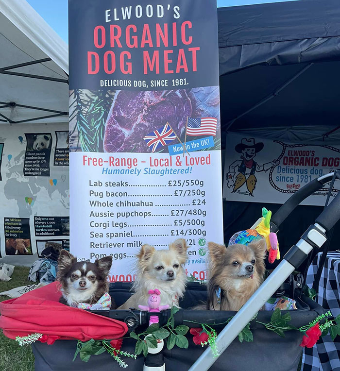 &#8220;This Is Sick&#8221;: Owner Of Dog Meat Farm Reveals She&#8217;s Received Violent Threats After Going Viral