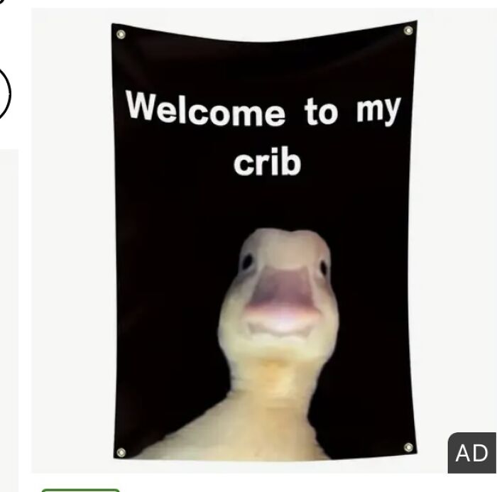 22 Worst Items I Found While Scrolling On Temu