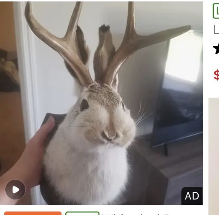 22 Worst Items I Found While Scrolling On Temu
