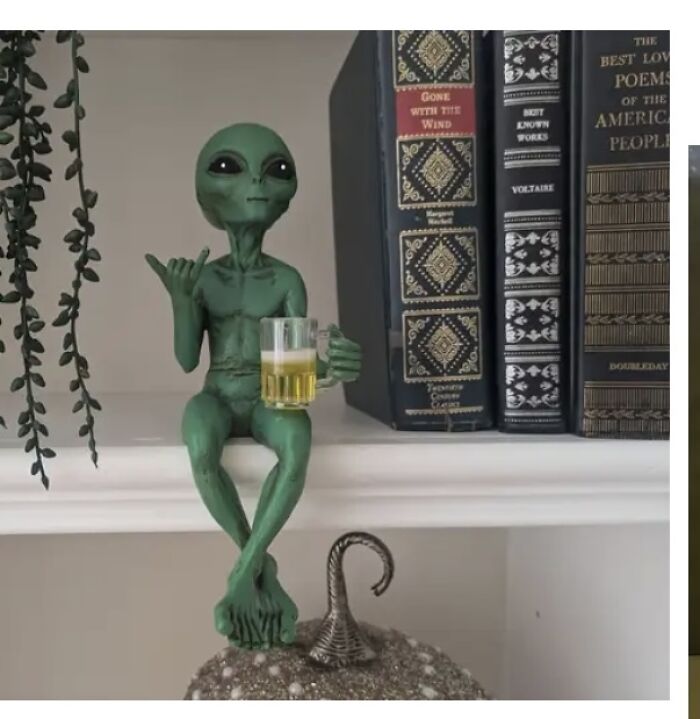 22 Worst Items I Found While Scrolling On Temu