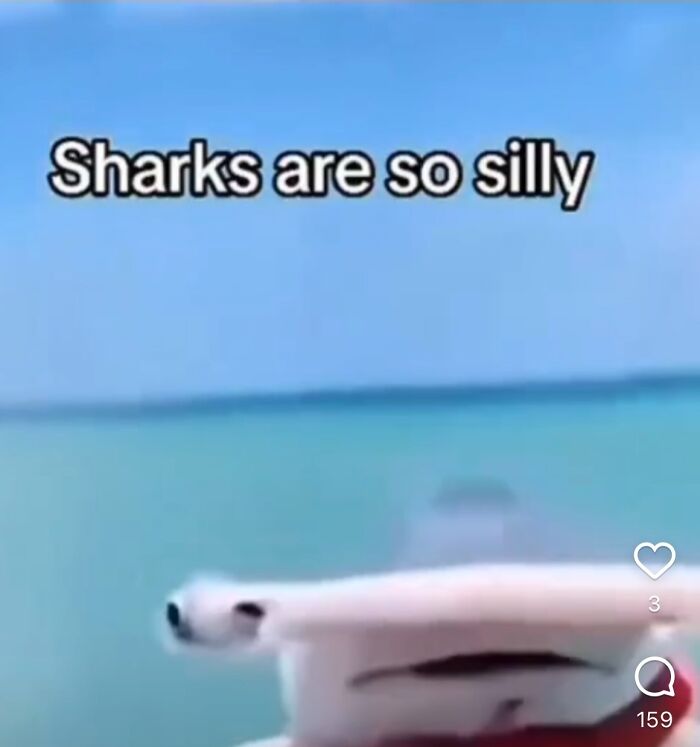 Hey Pandas, Share Your Favorite Meme