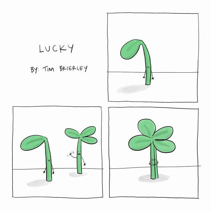 40 Times Tim Brierley Made Us Laugh At Our Own Lives