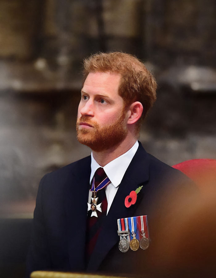 Prince Harry Responds To Claims He ‘Punched Prince Andrew In The Face’ Over Comments About Meghan