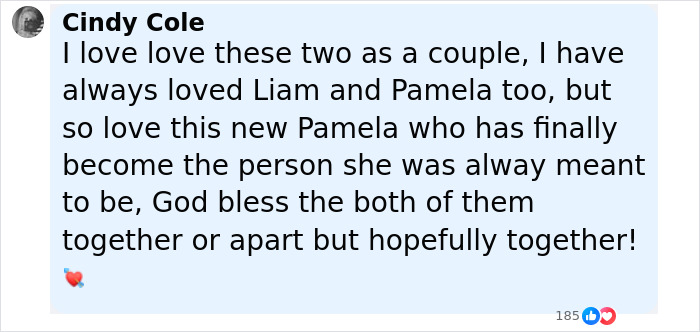 Liam Neeson&#8217;s Late Wife&#8217;s Sister Reacts To His Rumored Romance With Pamela Anderson