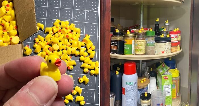 These 21 Finds Made Pandas Smash The &#8220;Add To Cart&#8221; Button All Year Long
