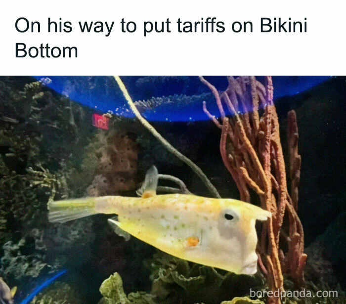 66 Memes For All Of Us With A Broken Sense Of Humor