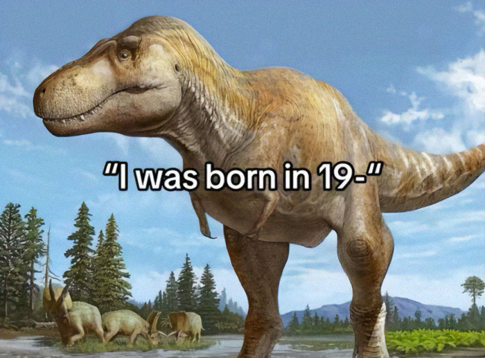 66 Memes For All Of Us With A Broken Sense Of Humor