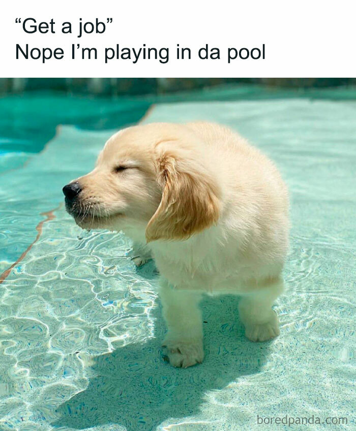 66 Memes For All Of Us With A Broken Sense Of Humor