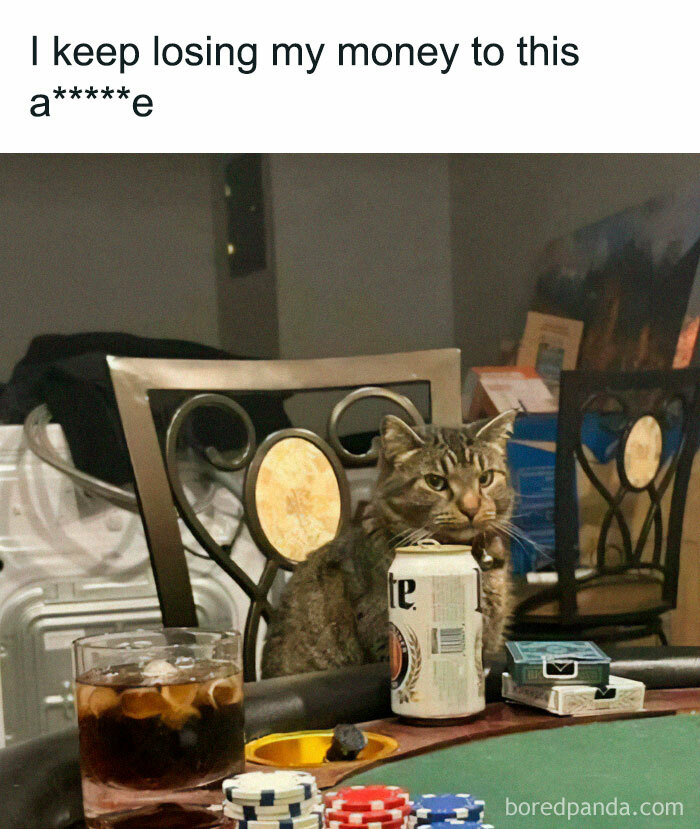 66 Memes For All Of Us With A Broken Sense Of Humor