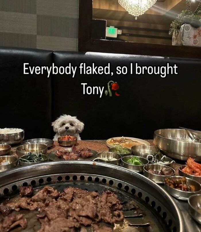 66 Memes For All Of Us With A Broken Sense Of Humor