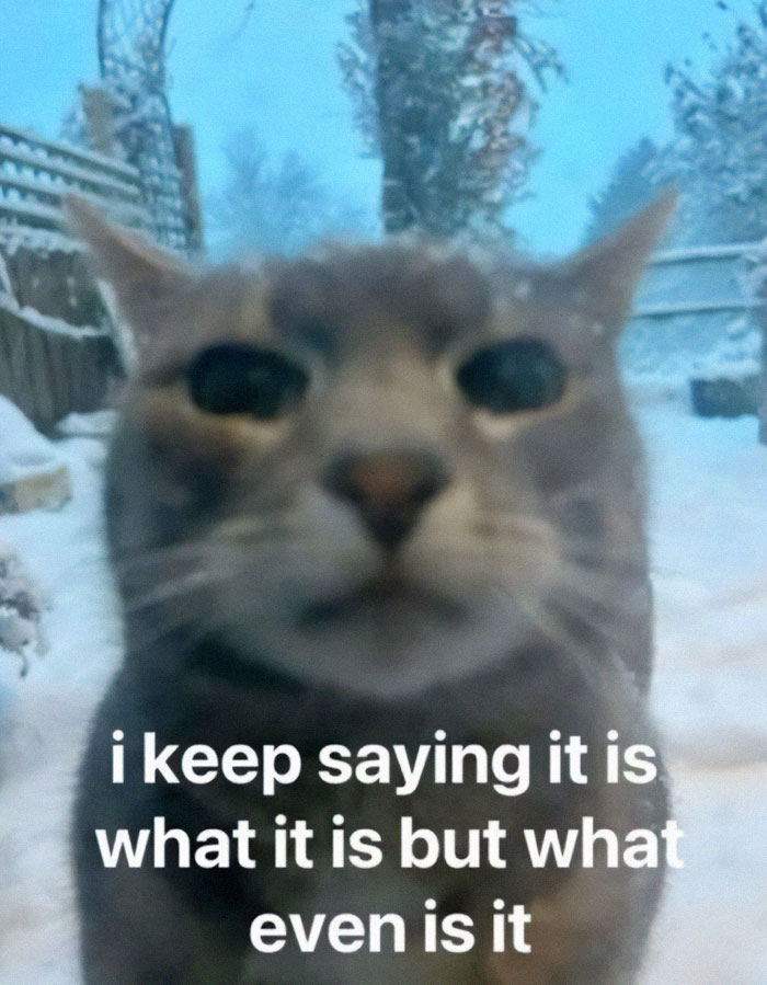 66 Memes For All Of Us With A Broken Sense Of Humor
