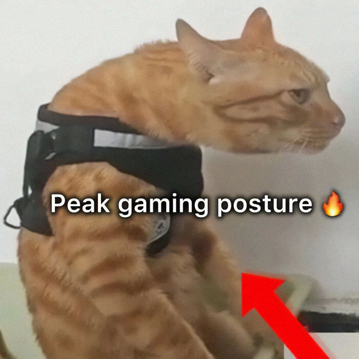66 Memes For All Of Us With A Broken Sense Of Humor