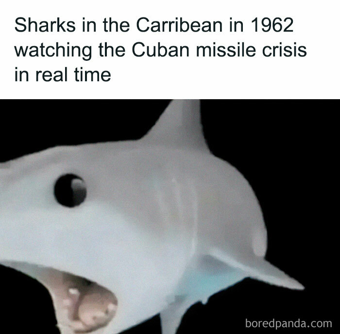66 Memes For All Of Us With A Broken Sense Of Humor