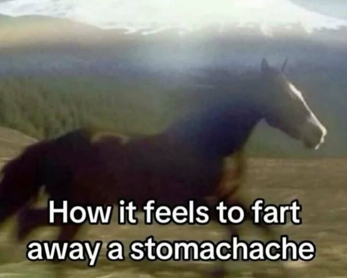 66 Memes For All Of Us With A Broken Sense Of Humor