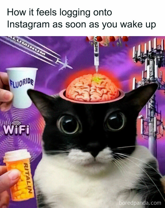 66 Memes For All Of Us With A Broken Sense Of Humor