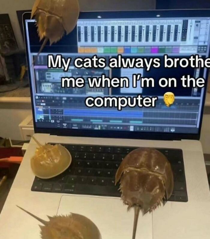 66 Memes For All Of Us With A Broken Sense Of Humor
