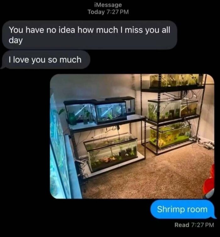 66 Memes For All Of Us With A Broken Sense Of Humor