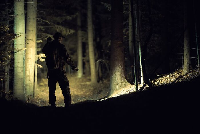“Still Scares Me”: 86 People Who Couldn’t Sleep For Days After Spending Time In The Woods