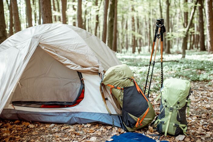 “Still Scares Me”: 86 People Who Couldn’t Sleep For Days After Spending Time In The Woods