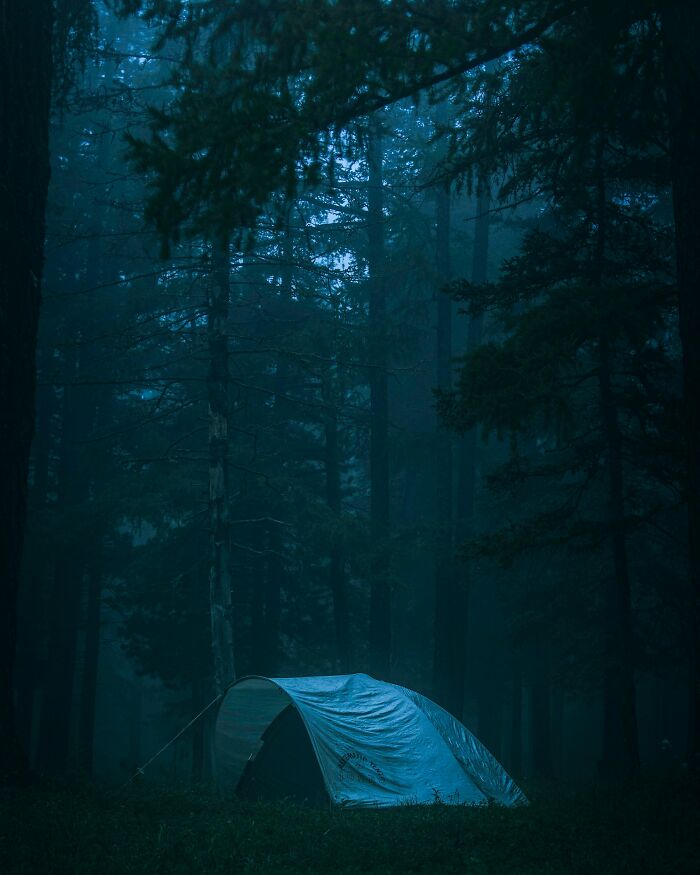 “Still Scares Me”: 86 People Who Couldn’t Sleep For Days After Spending Time In The Woods