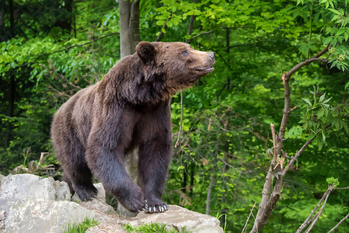 “Still Scares Me”: 86 People Who Couldn’t Sleep For Days After Spending Time In The Woods