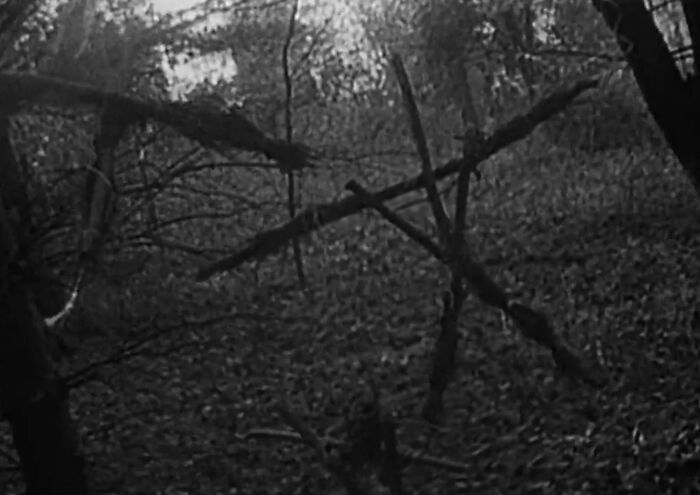“Still Scares Me”: 86 People Who Couldn’t Sleep For Days After Spending Time In The Woods