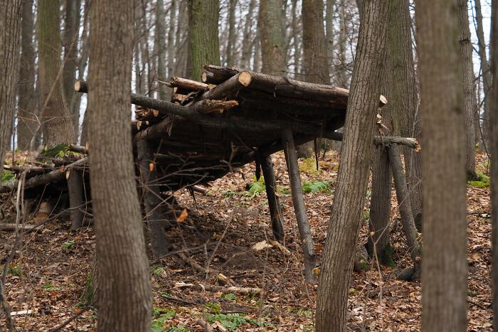 “Still Scares Me”: 86 People Who Couldn’t Sleep For Days After Spending Time In The Woods