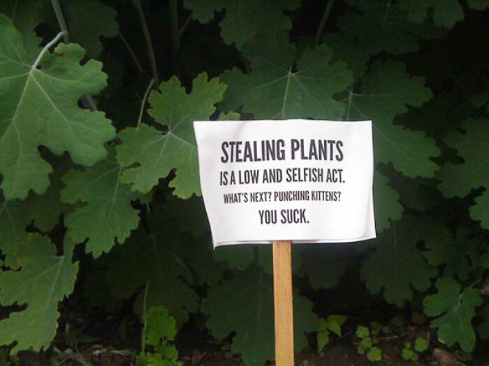 55 Unhinged Neighbors’ Notes That Made Sure Living Among People May Be Hard But Never Boring