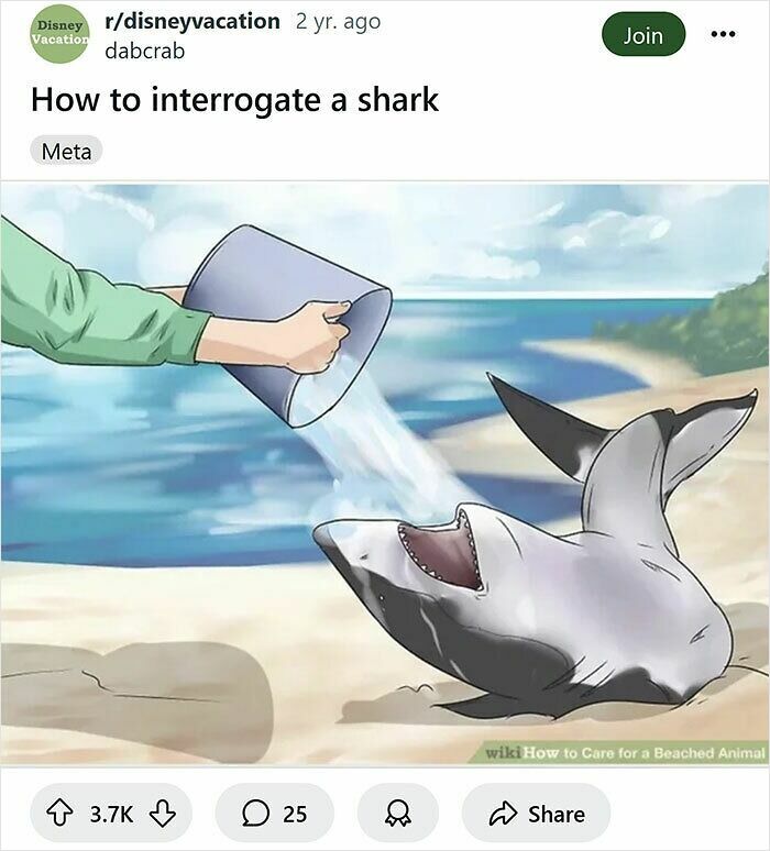 59 Times People Rewrote WikiHow Captions And Made Them 100x Funnier (New Pics)