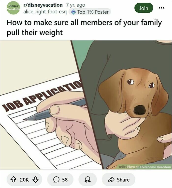 59 Times People Rewrote WikiHow Captions And Made Them 100x Funnier (New Pics)