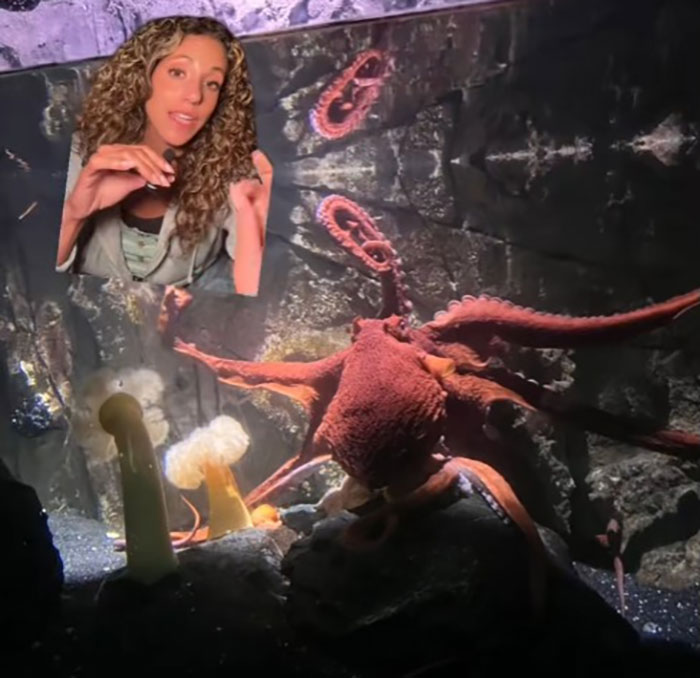 Mom Of 6YO Boy Who Was Attacked By Octopus Accuses Aquarium Of Lying After Viral Incident