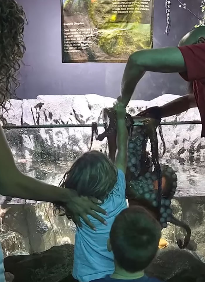 Mom Of 6YO Boy Who Was Attacked By Octopus Accuses Aquarium Of Lying After Viral Incident