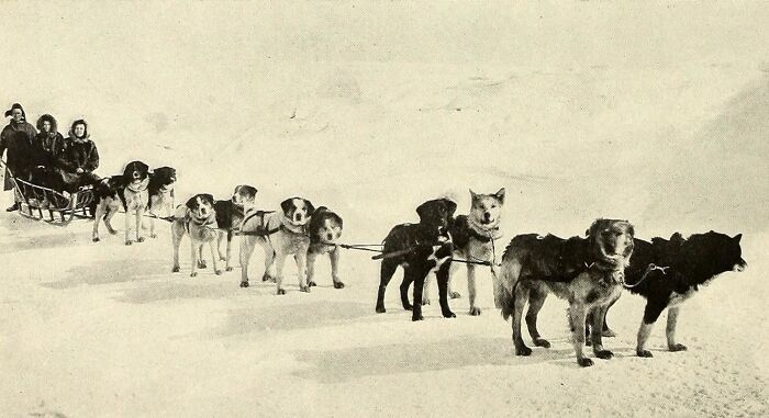 30 Historic Photos That Capture The Unbreakable Spirit Of The Inuit