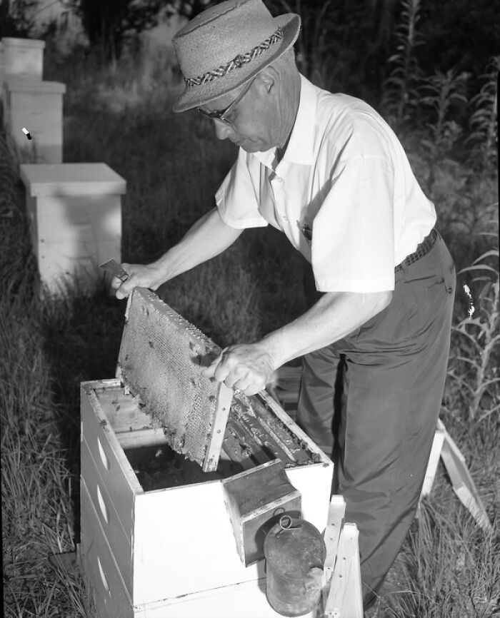 30 Iconic Glimpses Into Everyday Life In 1950s Florida