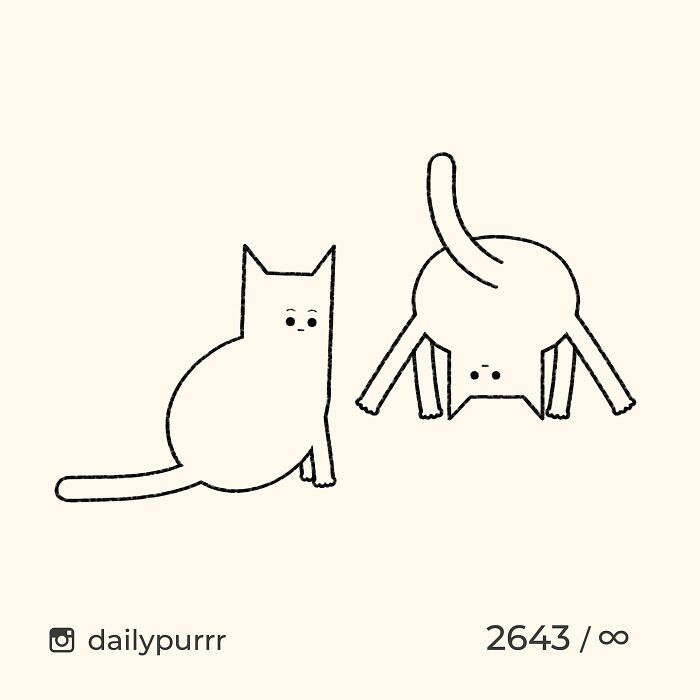 50 Times ‘Stupid Cat Drawings’ Made Everyone Laugh With How Accurate They Were