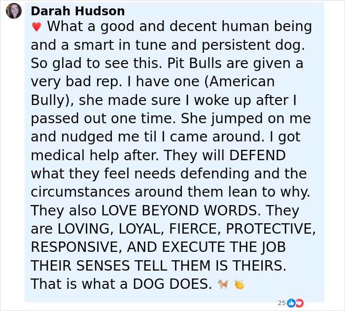 Dog Barks At A Stranger To Follow Him, Ends Up Leading Him To Two People In Dire Need Of Help
