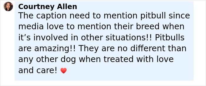 Dog Barks At A Stranger To Follow Him, Ends Up Leading Him To Two People In Dire Need Of Help