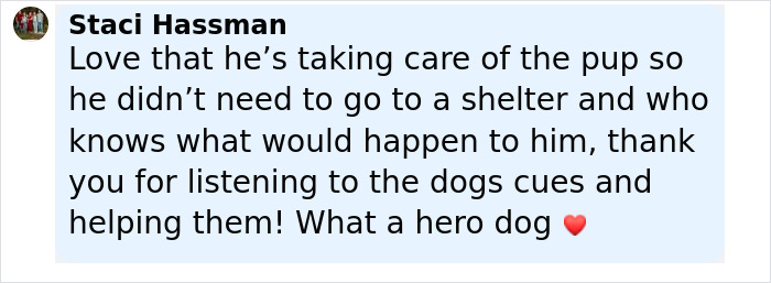 Dog Barks At A Stranger To Follow Him, Ends Up Leading Him To Two People In Dire Need Of Help