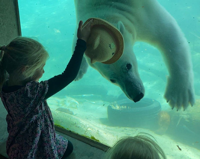 Viral Jokes After Zoo Releases Statement Asking People To Donate Pets So Their Animals Can Eat